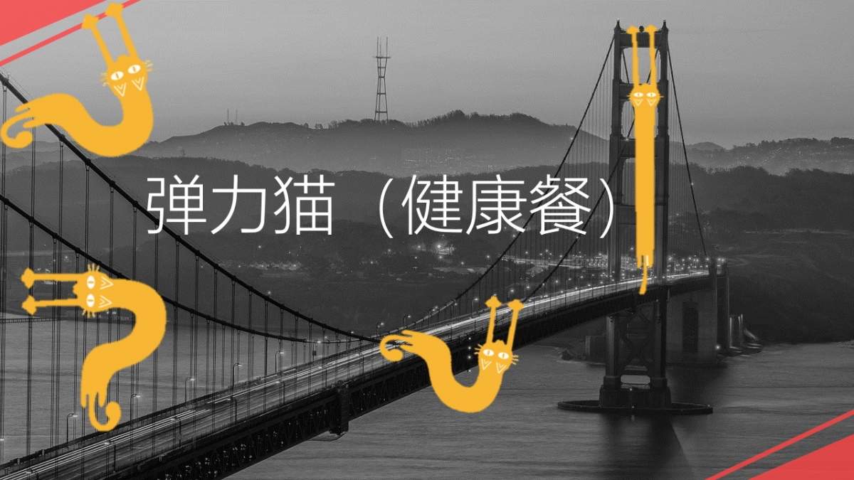 弹力猫健康餐品牌推广方案（定位+SLOGAN)_第1页