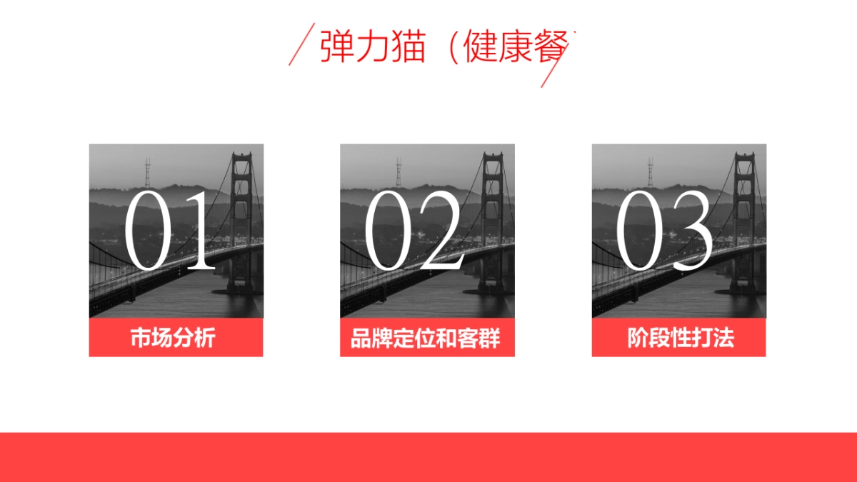 弹力猫健康餐品牌推广方案（定位+SLOGAN)_第2页