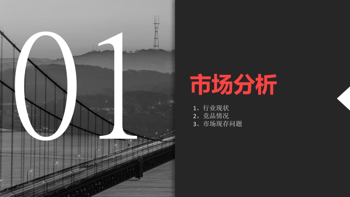 弹力猫健康餐品牌推广方案（定位+SLOGAN)_第3页