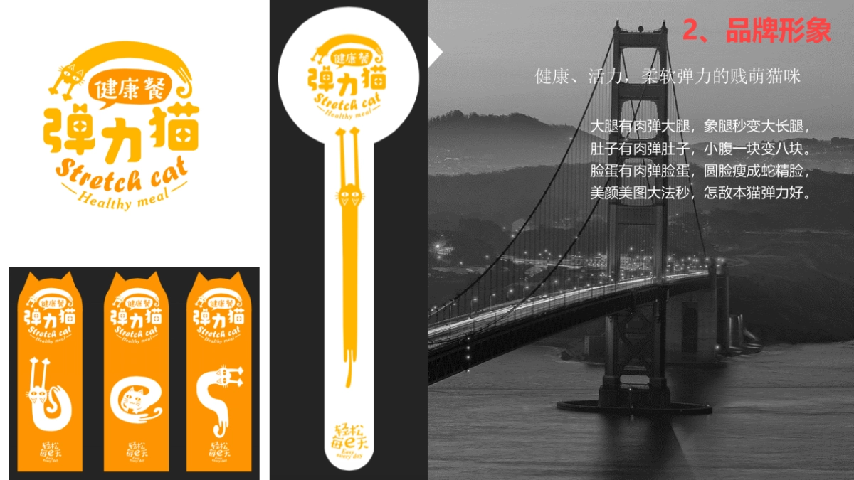 弹力猫健康餐品牌推广方案（定位+SLOGAN)_第9页