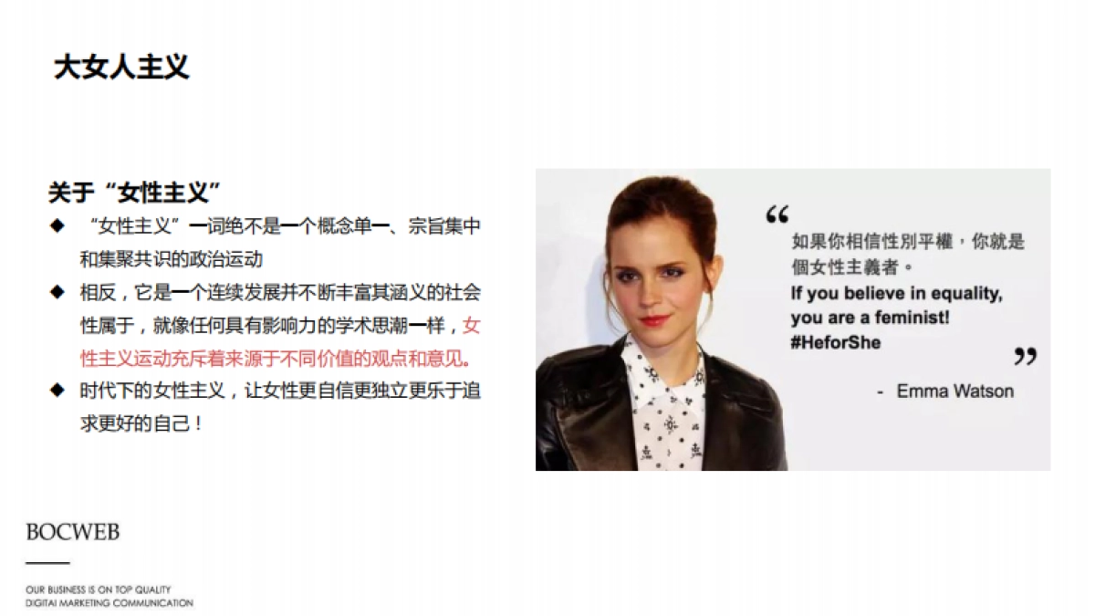 枫之灵品牌推广方案_第10页