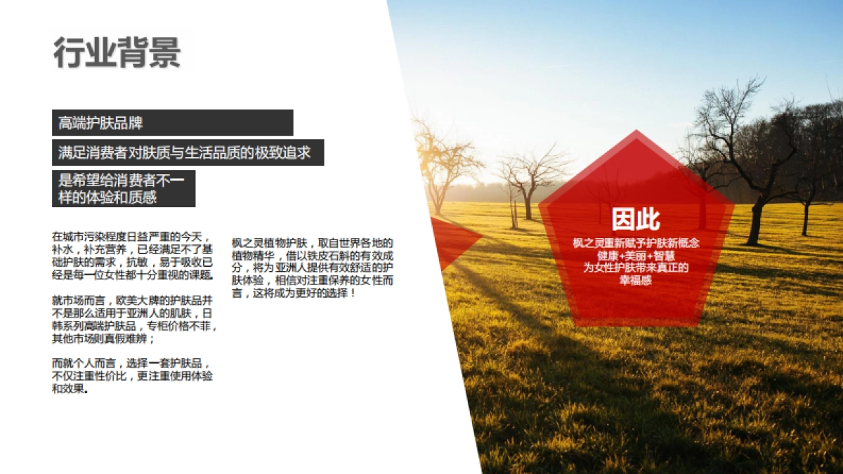 枫之灵品牌推广方案_第2页