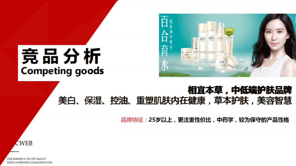 枫之灵品牌推广方案_第4页