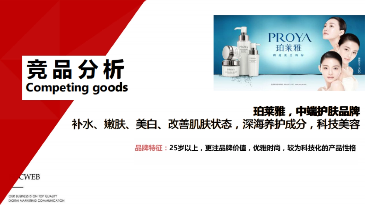 枫之灵品牌推广方案_第5页