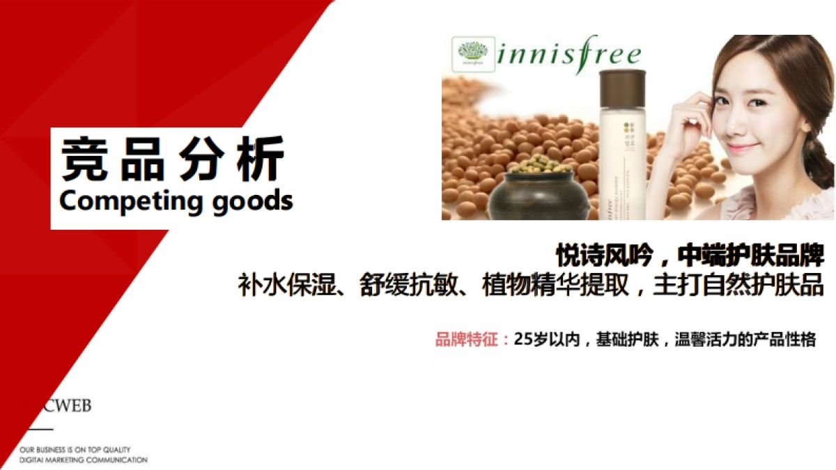 枫之灵品牌推广方案_第6页