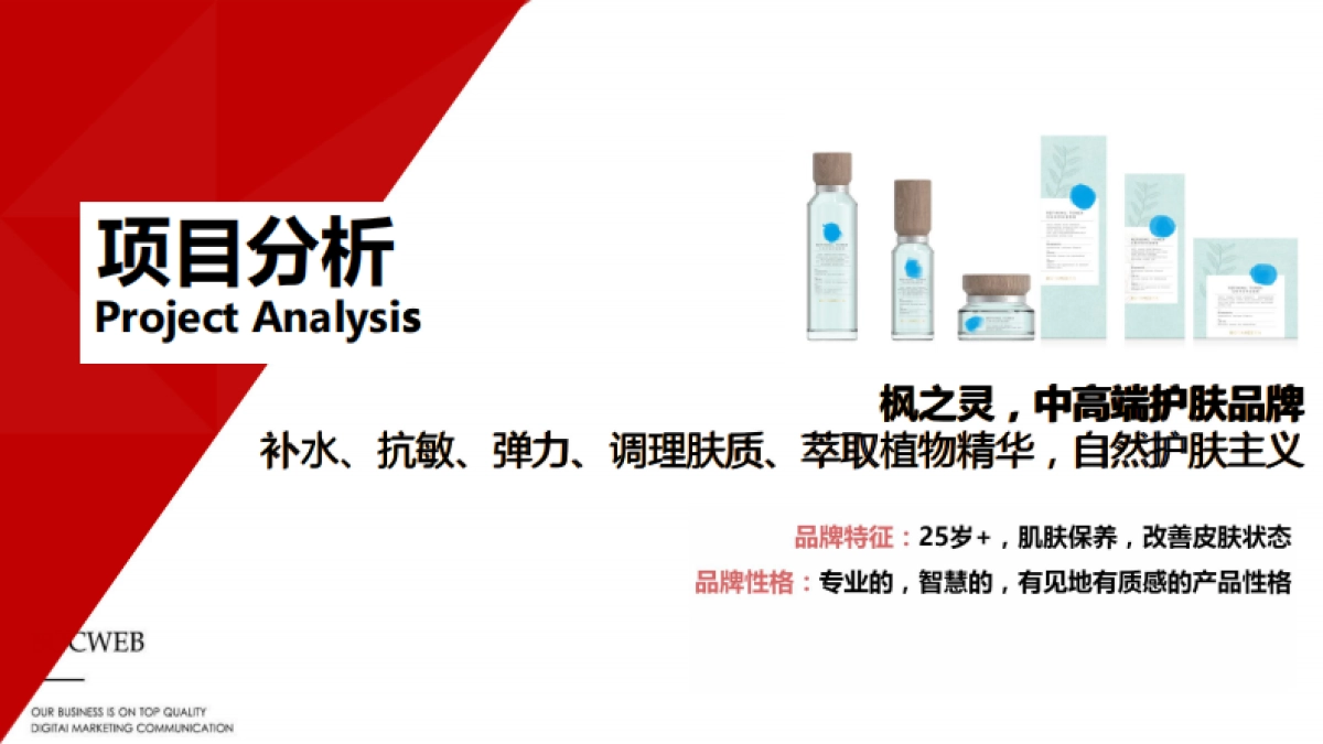 枫之灵品牌推广方案_第7页