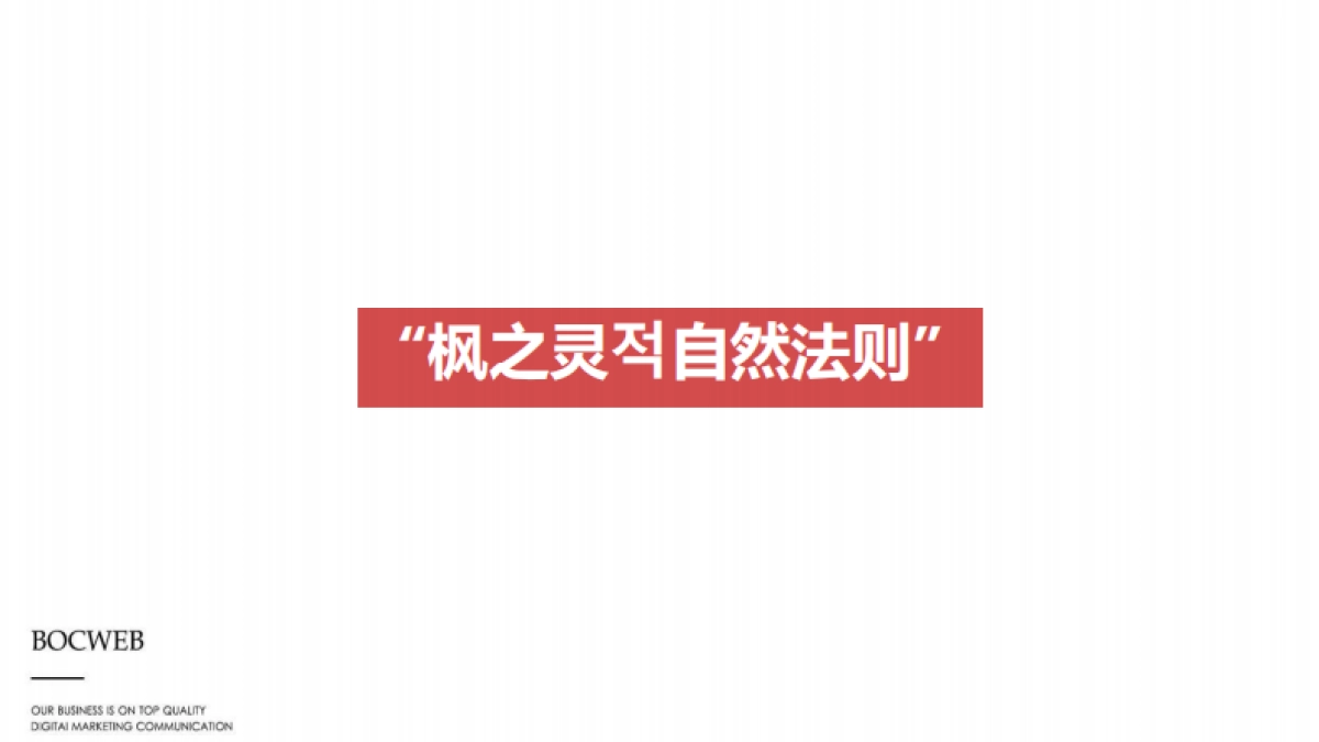 枫之灵品牌推广方案_第9页