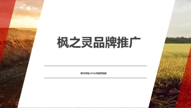 枫之灵品牌推广方案