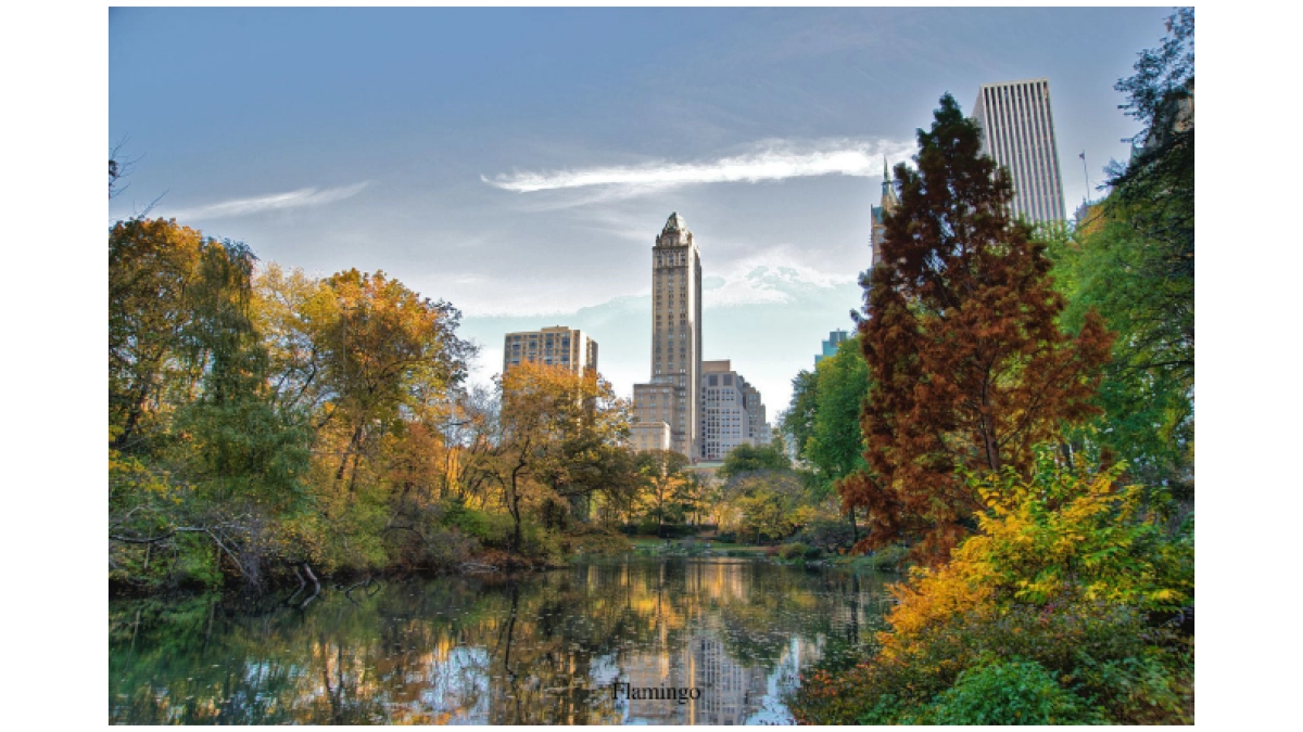 红鹤沟通-2018福州登云湖品牌定位推广策略_第7页