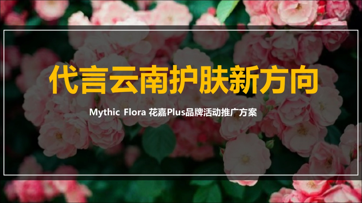 花嘉美妆护肤品牌推广方案_第1页