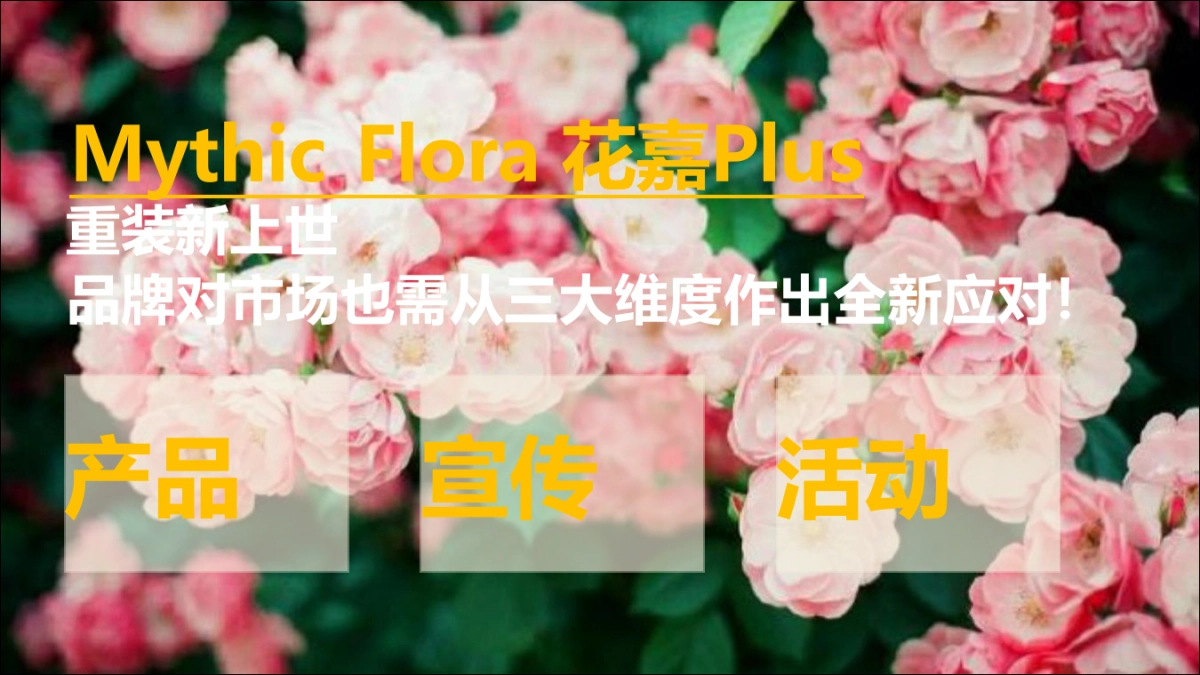 花嘉美妆护肤品牌推广方案_第2页