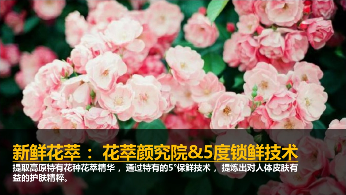 花嘉美妆护肤品牌推广方案_第4页