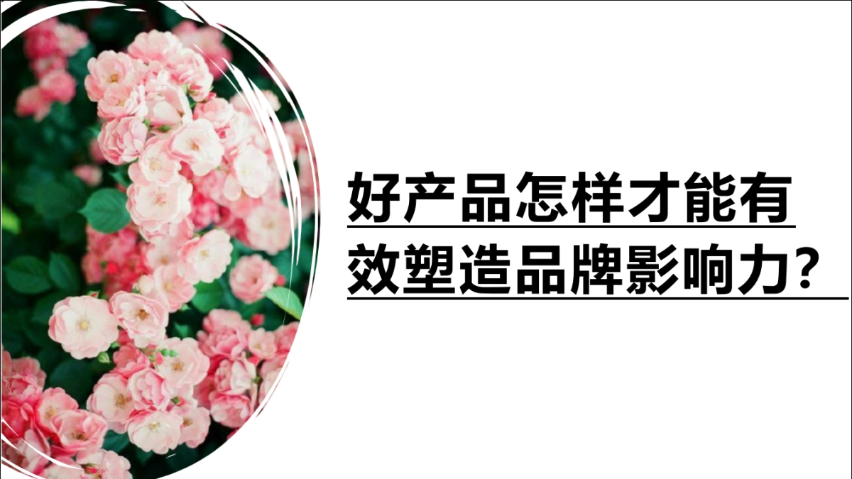 花嘉美妆护肤品牌推广方案_第7页