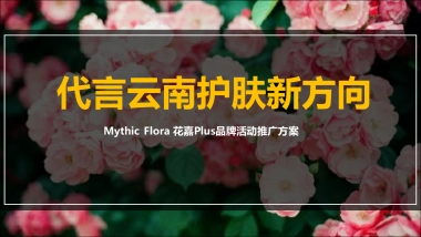 花嘉美妆护肤品牌推广方案