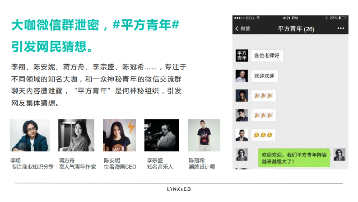 领克品牌推广提报_第5页