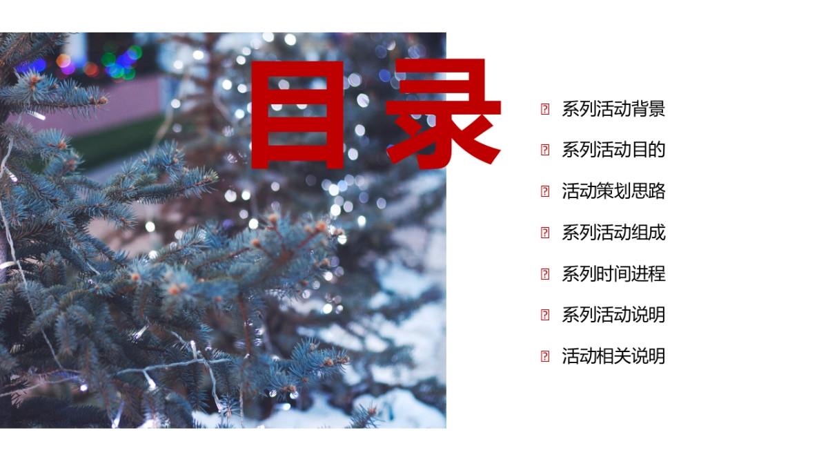 葡萄酒品牌双旦(圣诞至元旦)系列推广活动促销方案_第2页