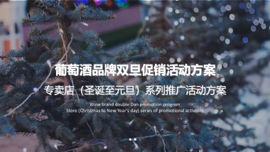 葡萄酒品牌双旦（圣诞至元旦）系列推广活动促销方案
