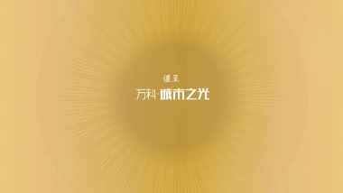 青岛万科品牌中心—烟台万科城市之光二期故事线营销推广