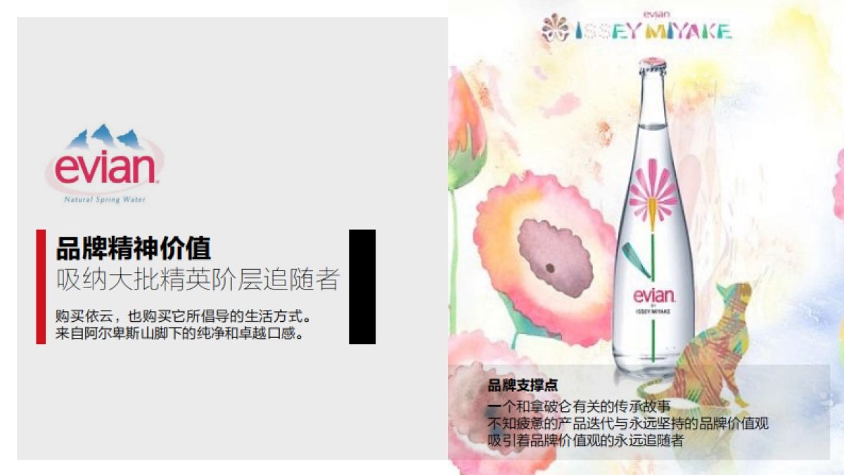 商端矿泉水品牌形象推广方案_第5页