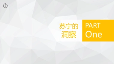 苏宁易购生活家电品牌推广方案-空气净化器