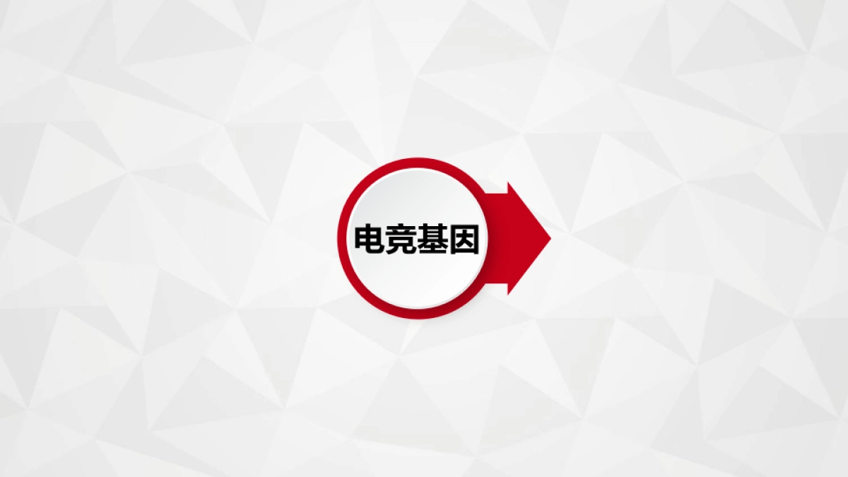 钛度鼠标品牌推广方案_第9页