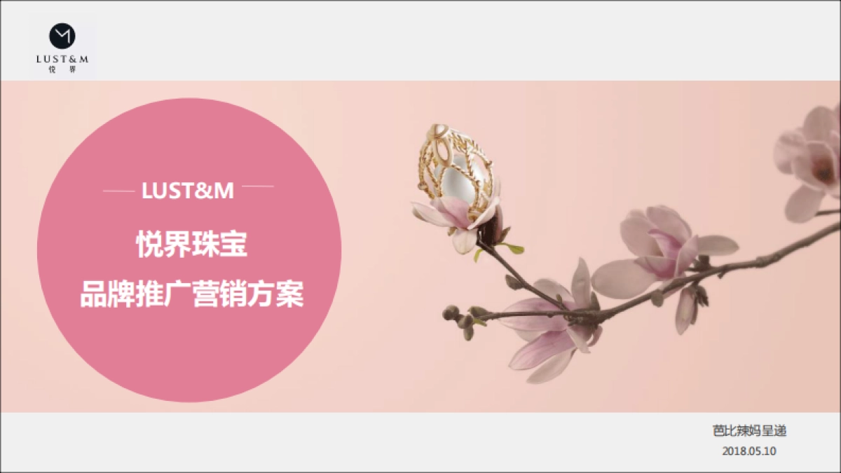 悦界LUST&M品牌营销推广方案_第1页