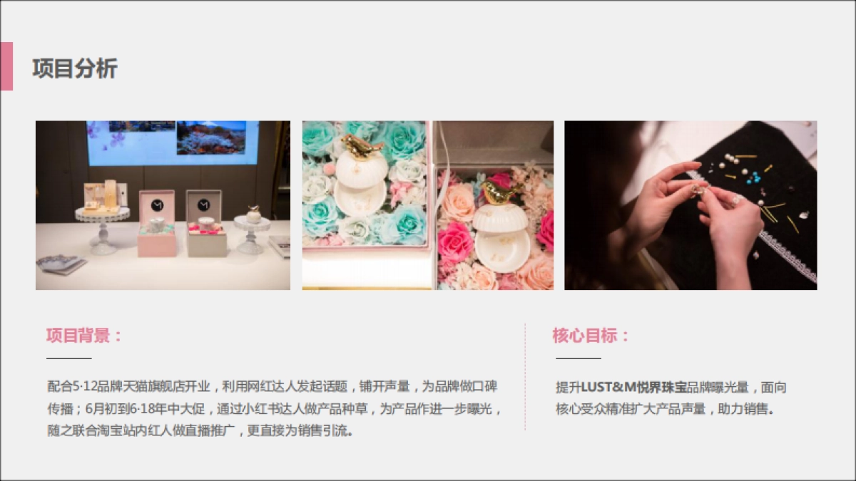 悦界LUST&M品牌营销推广方案_第5页