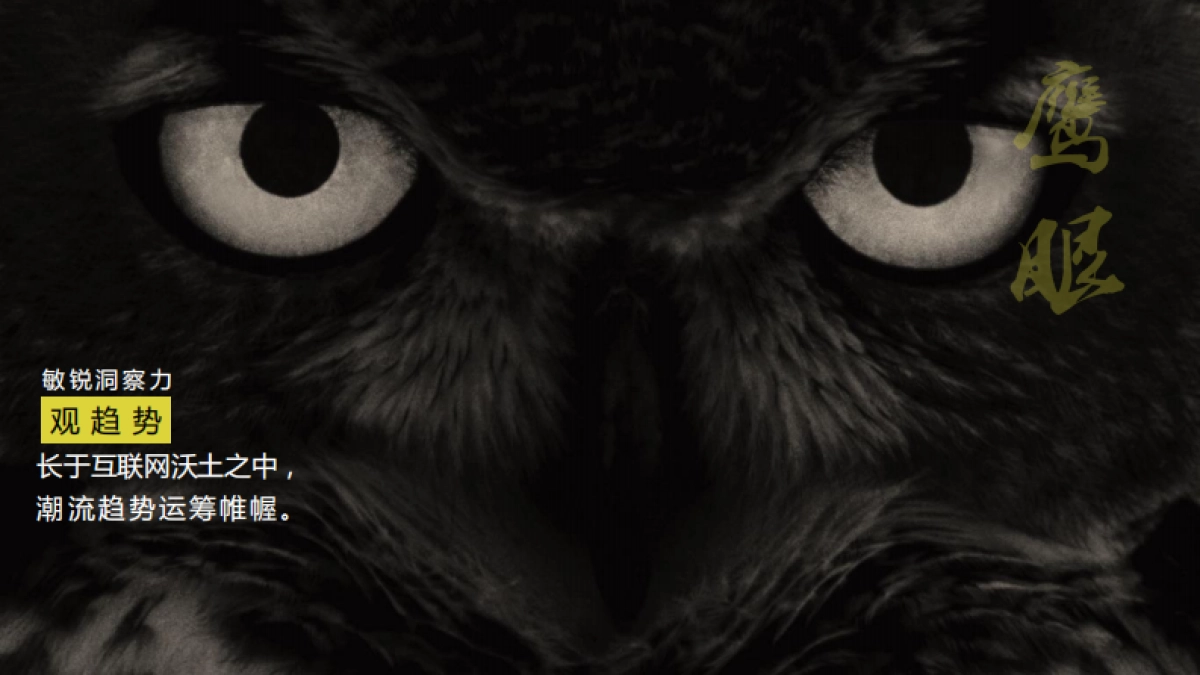 “肚子里有料”品牌推广方案(7)_第3页