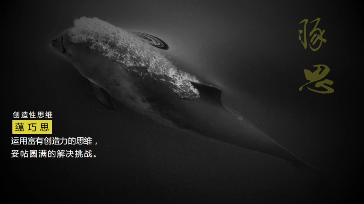 “肚子里有料”品牌推广方案(7)_第9页