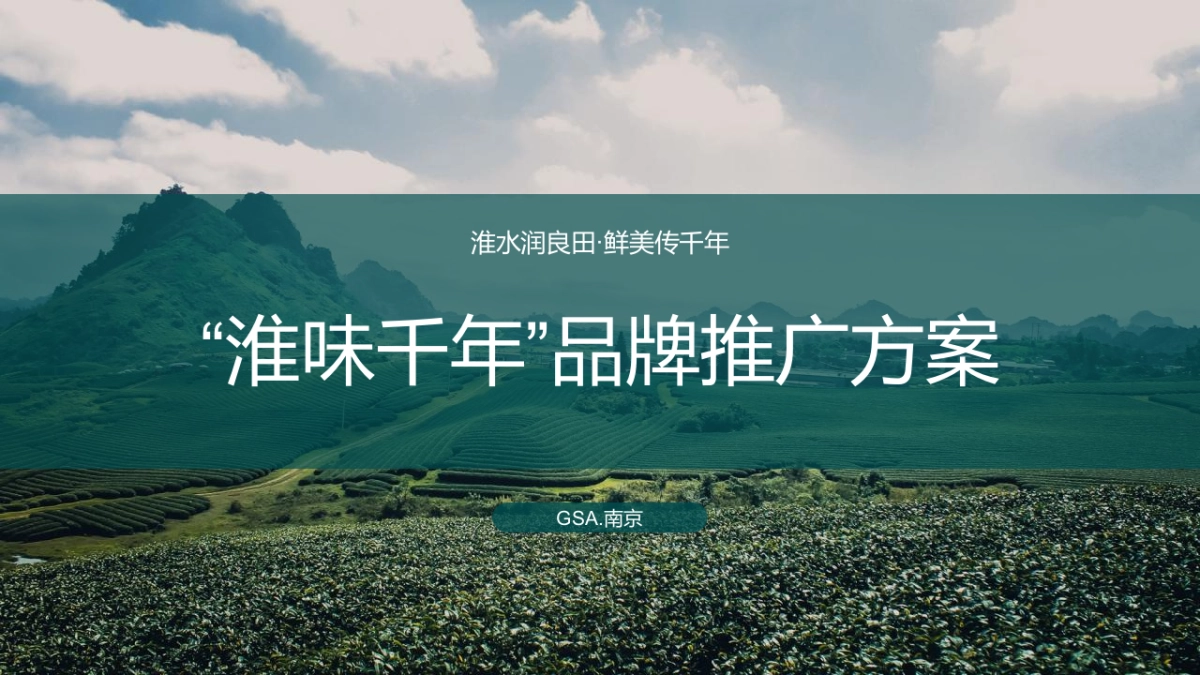 “淮味千年”农产品品牌推广方案_第1页