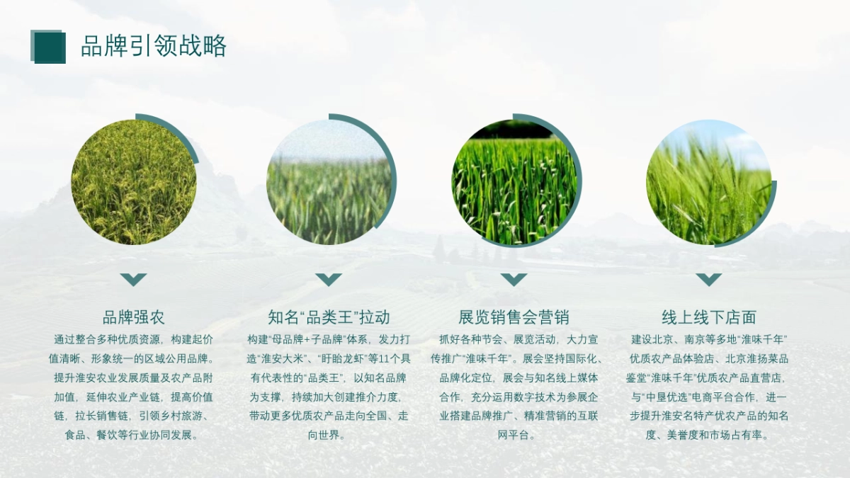 “淮味千年”农产品品牌推广方案_第6页