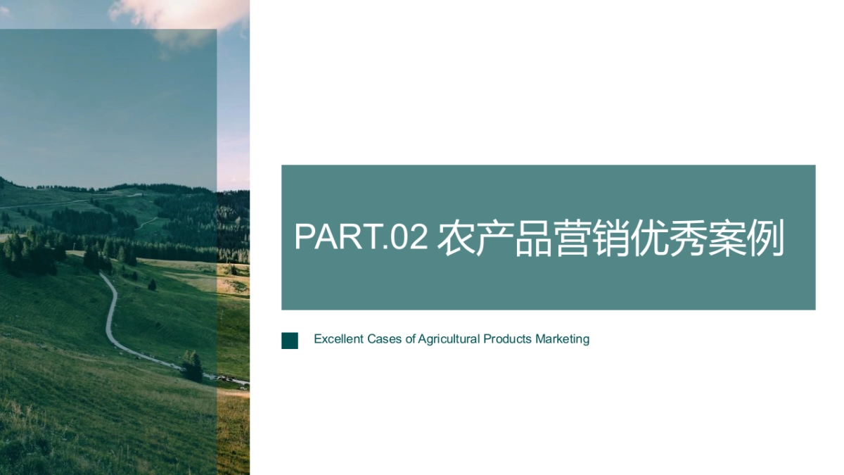 “淮味千年”农产品品牌推广方案_第7页