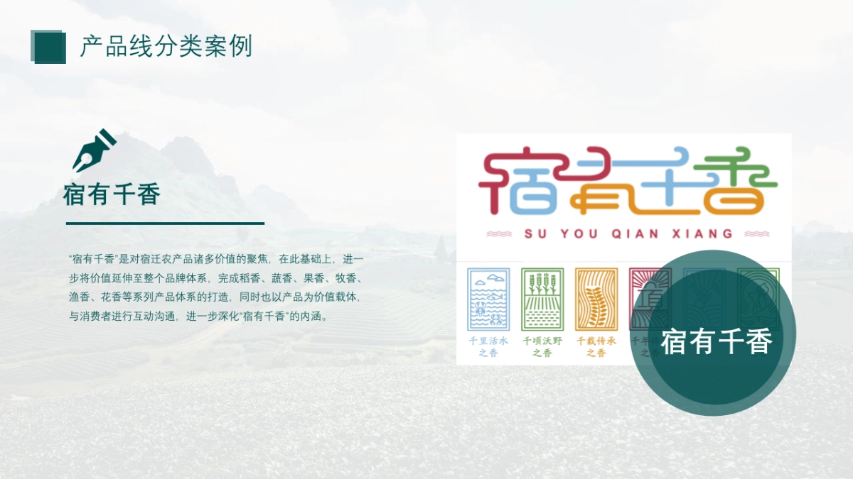 “淮味千年”农产品品牌推广方案_第8页