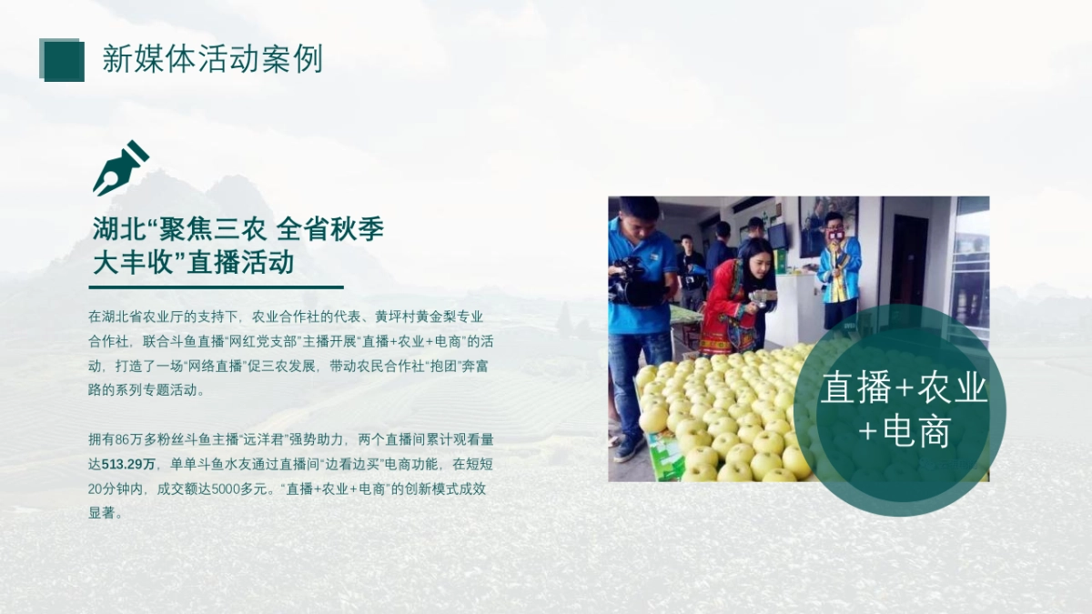 “淮味千年”农产品品牌推广方案_第9页