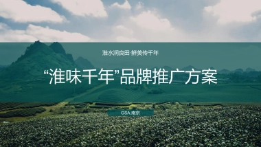 “淮味千年”农产品品牌推广方案