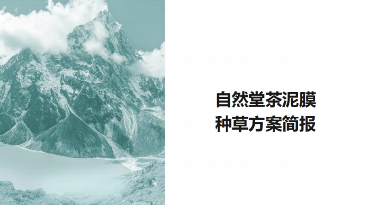 茶泥膜种草方案brief_第1页