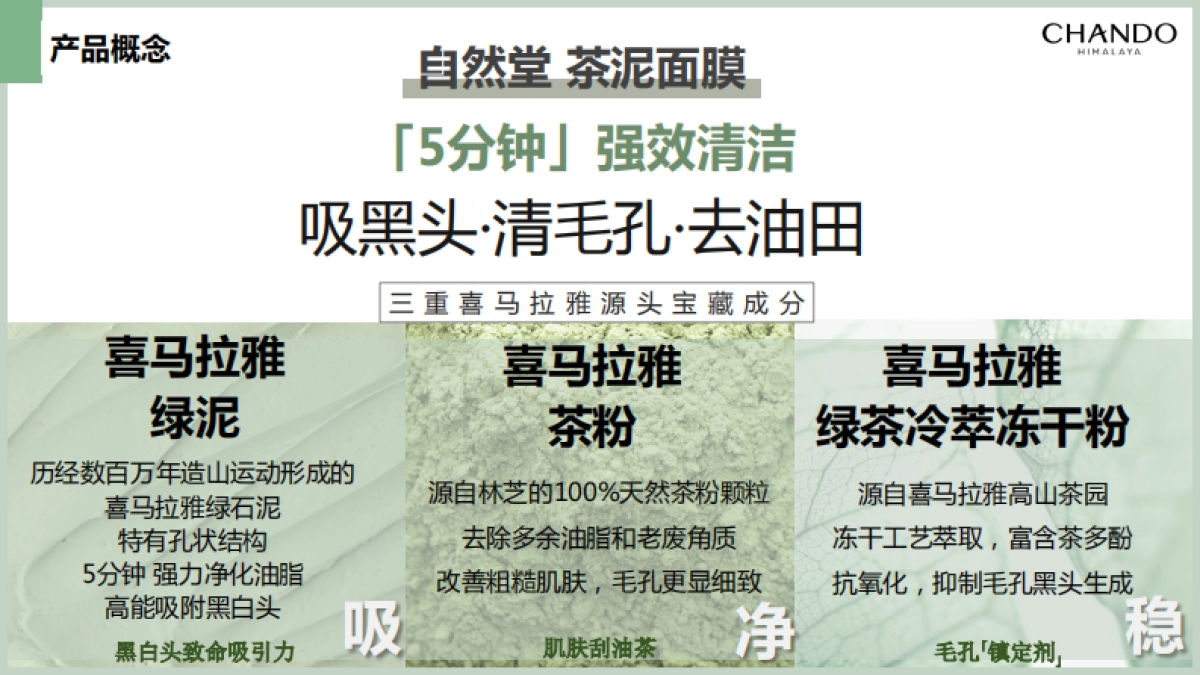 茶泥膜种草方案brief_第5页