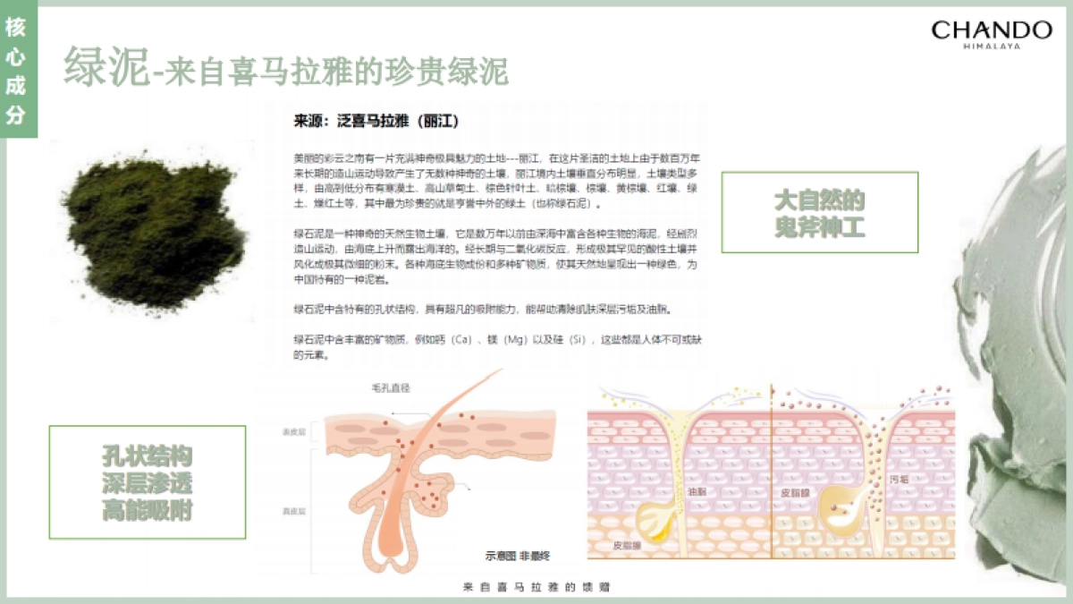 茶泥膜种草方案brief_第6页