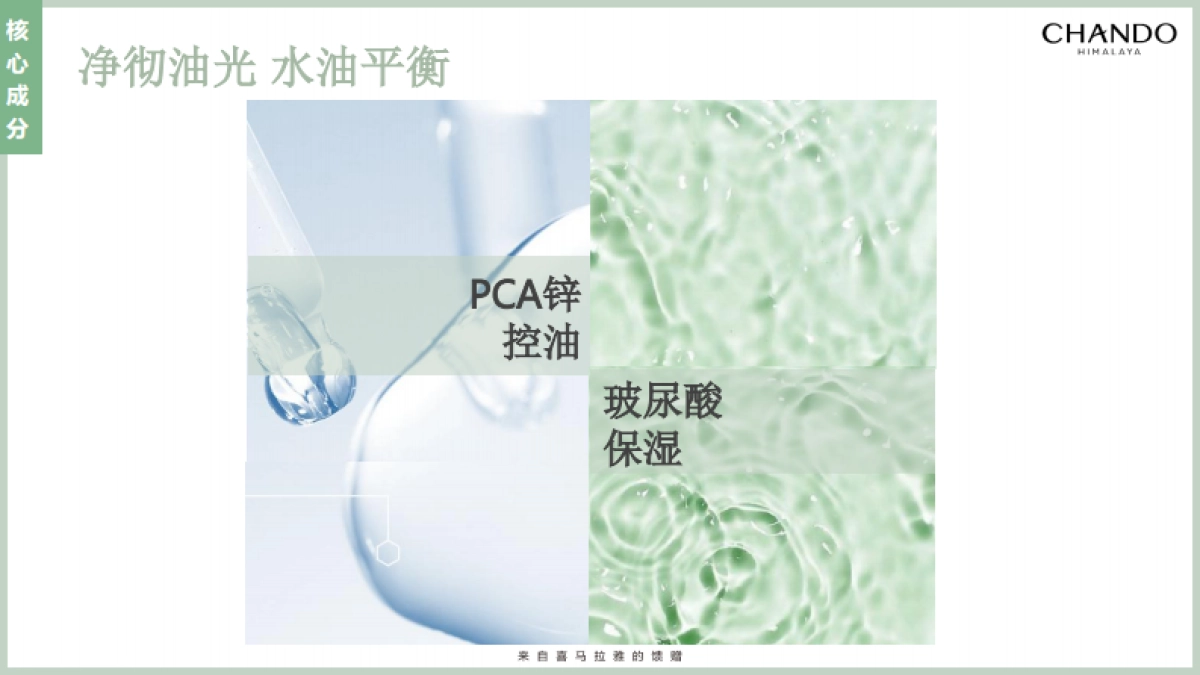 茶泥膜种草方案brief_第8页