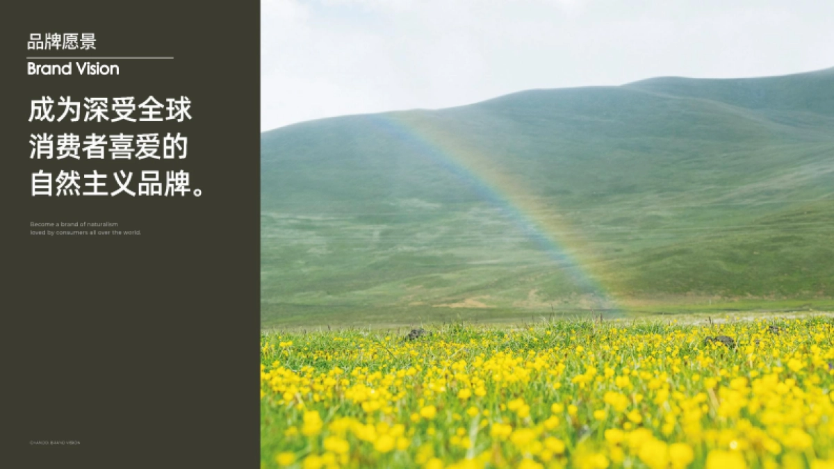 2021年自然堂刷酸面膜-KOC种草brief_第6页