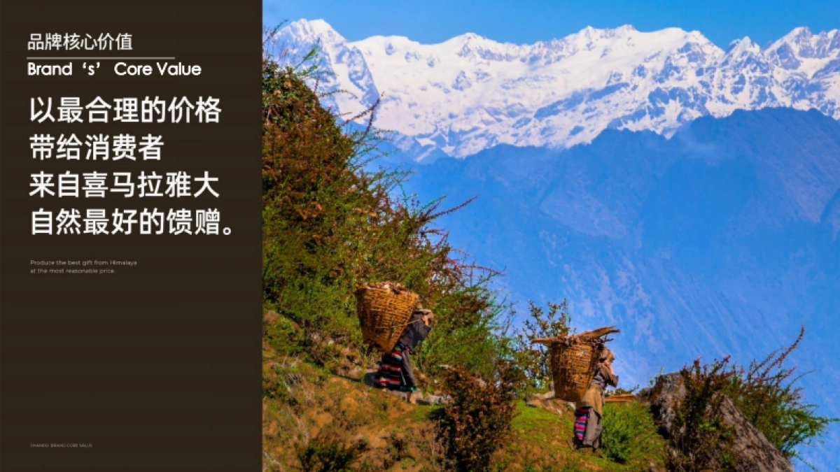 2021年自然堂刷酸面膜-KOC种草brief_第7页