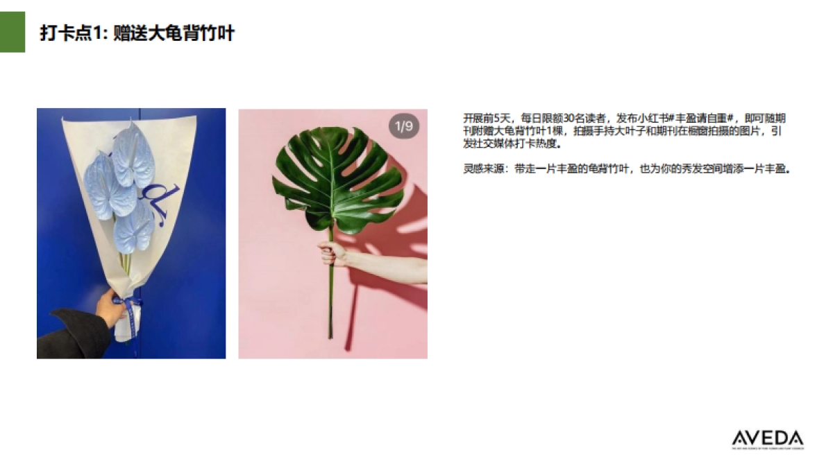 Aveda Jetlag KOL briefing book_第9页