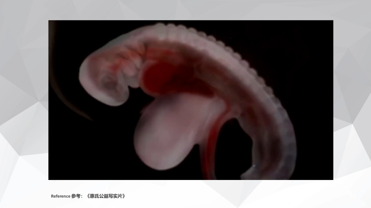 大通C2B脚本_第2页