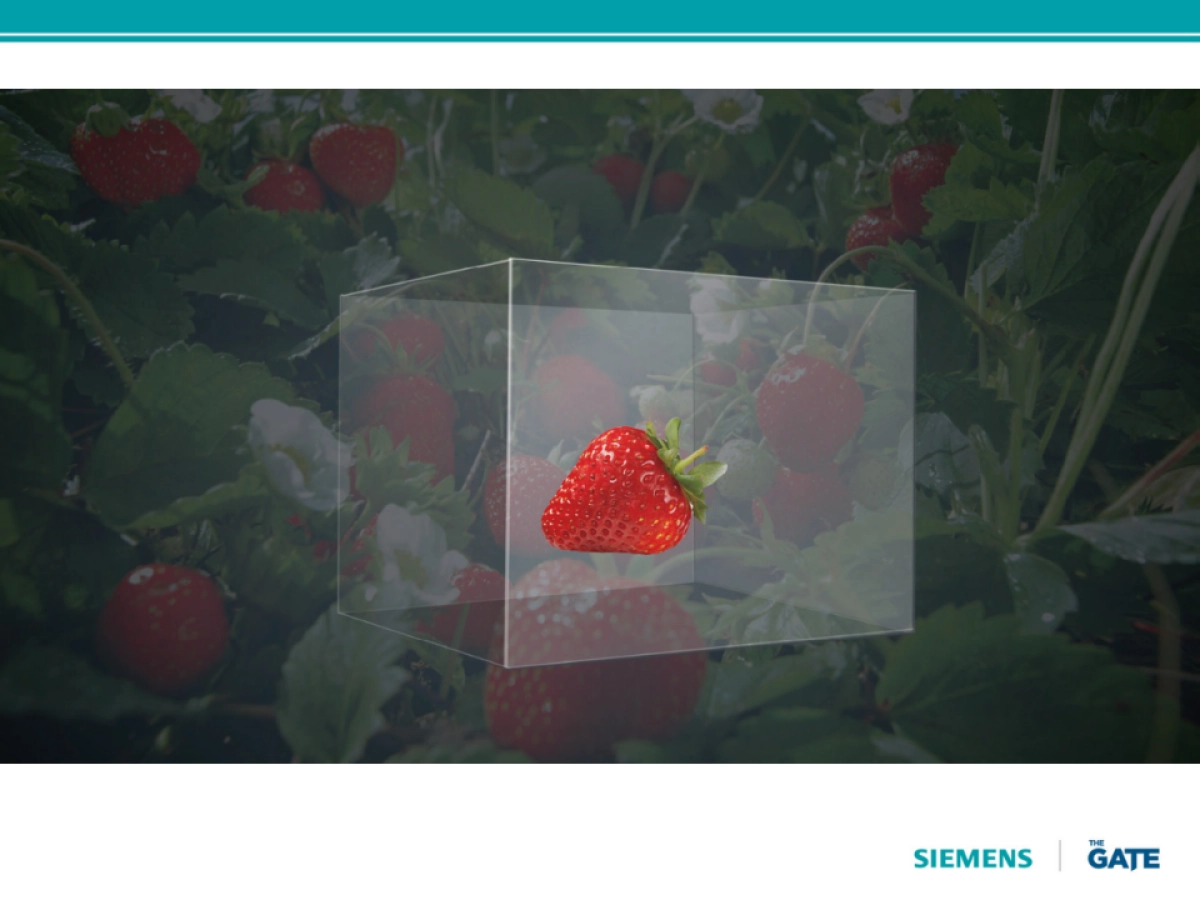 西门子三门冰箱视频脚本_第4页