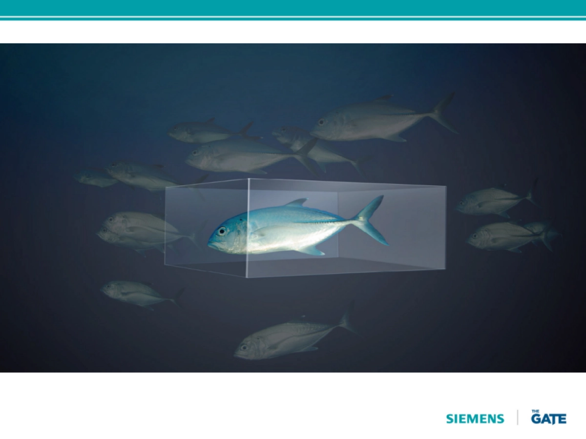 西门子三门冰箱视频脚本_第6页