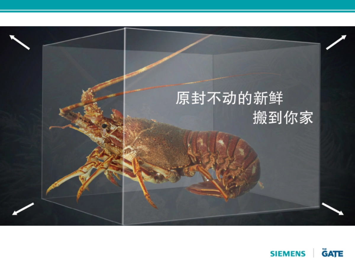 西门子三门冰箱视频脚本_第8页