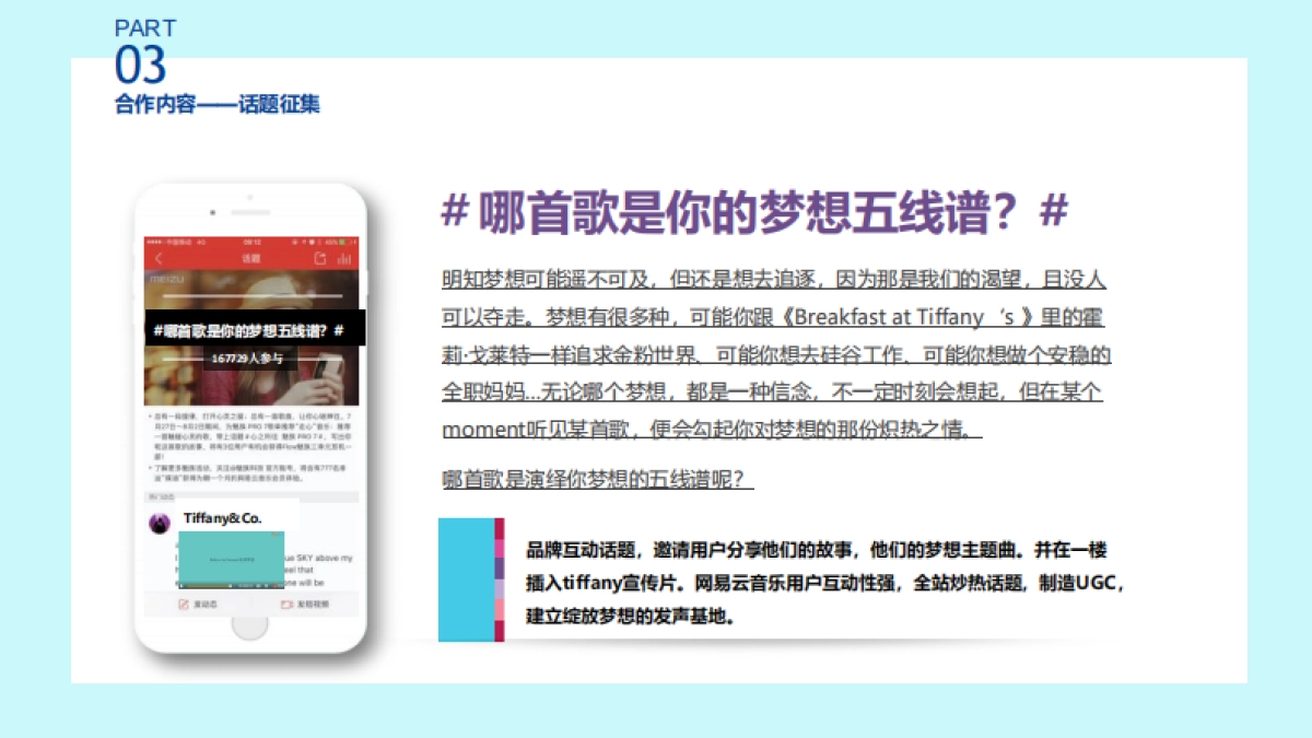 Aki徐颉 Tiffany品牌宣传片传播方案_0_split _第5页