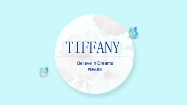 Aki徐颉 Tiffany品牌宣传片传播方案_0_split 