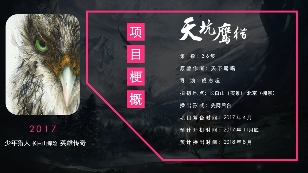 《天坑鹰猎》爱奇艺立项提案_第3页