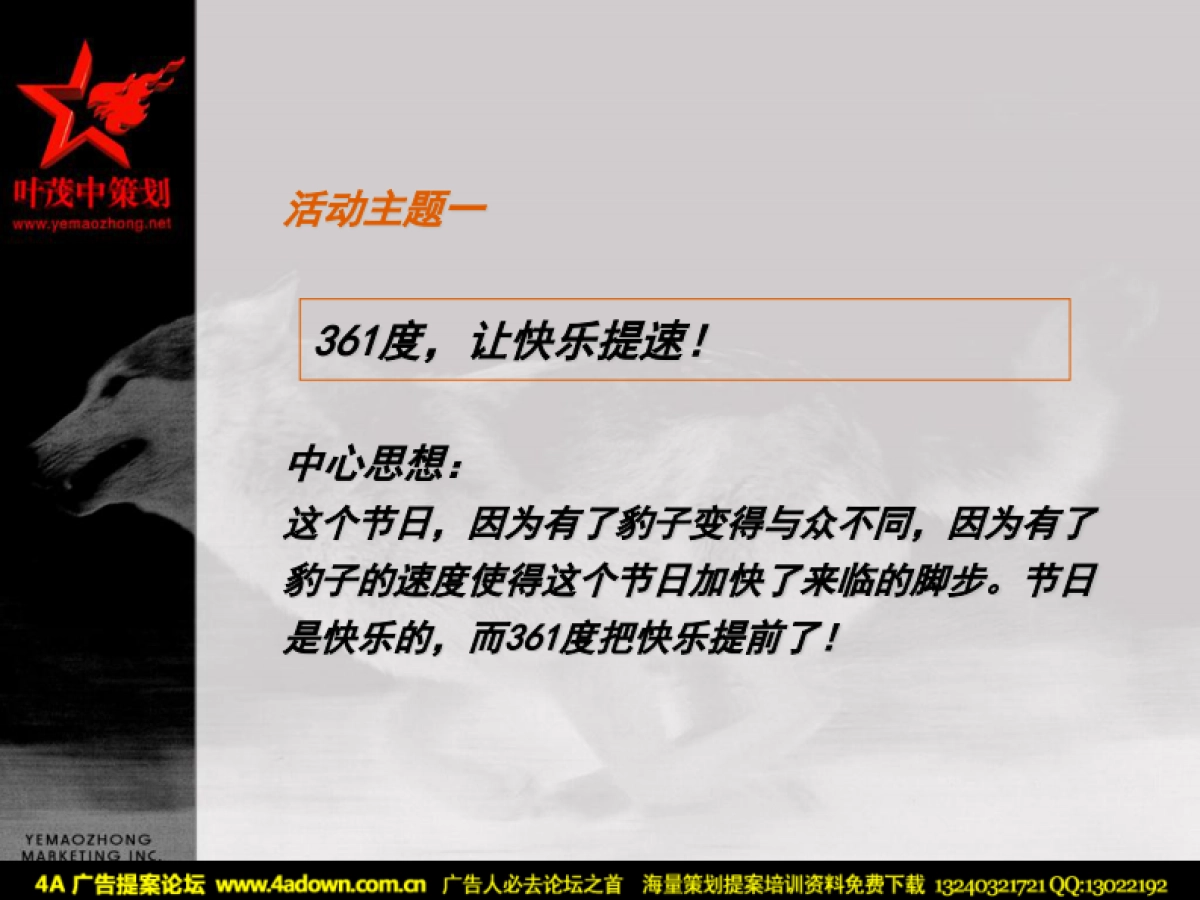 2004三六一度项目阶段提案圣诞元旦促销活动方案-叶茂中-54P_第10页